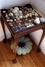 Shell Table and Bunt Cake